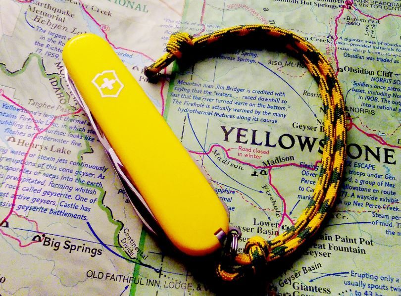 Yellow%20Ranger%205-2-17_zpsmegyzv2l.jpg