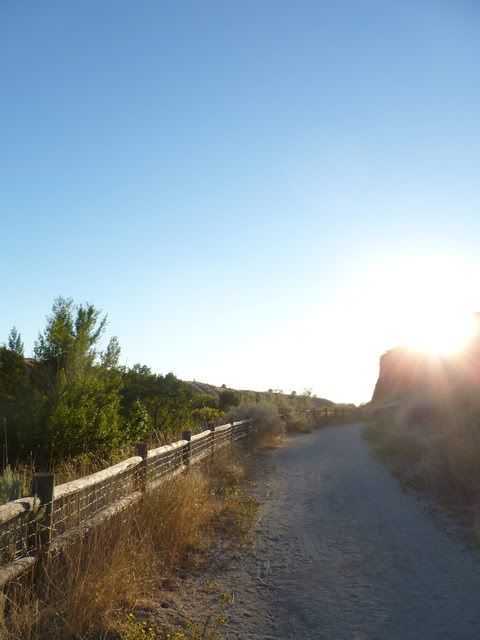 P1010071.jpg