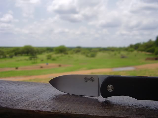 PA100017.jpg