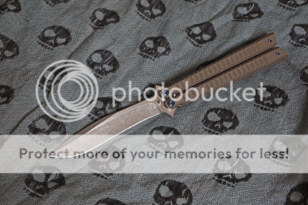 P2070089_zpszxnsgfol.jpg~original