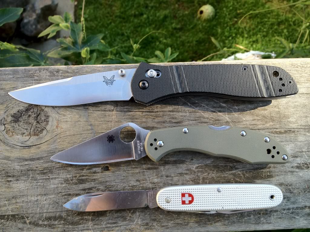 832790e5.jpg