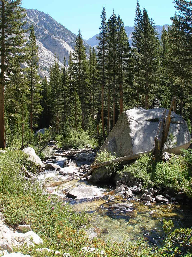 KingsCanyon2008669-1.jpg