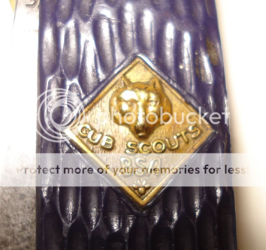 Camillus_cub_scout_7.jpg