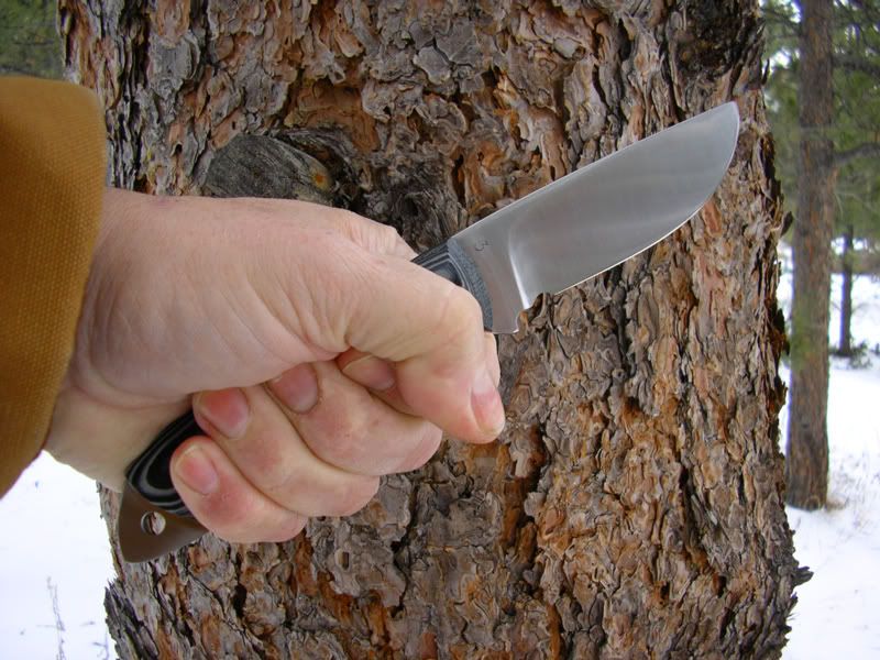 TCSurvivorinhand1.jpg