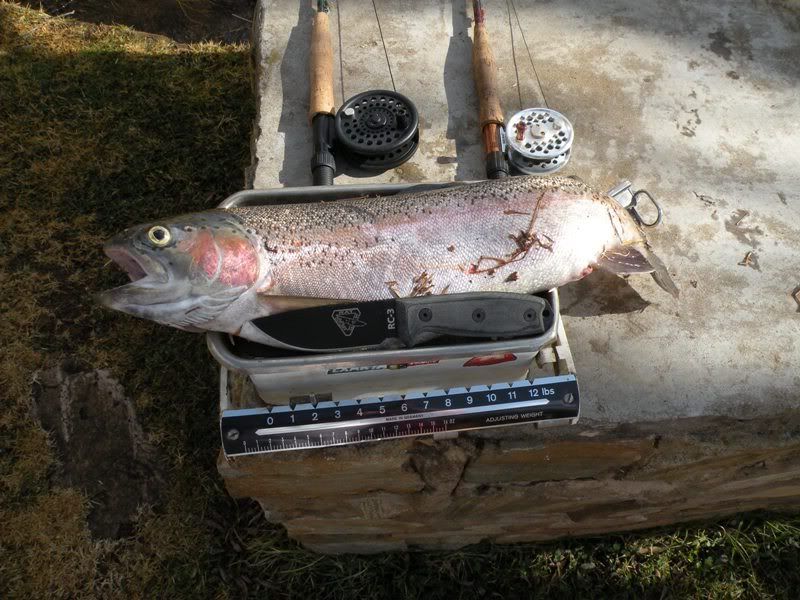 TroutFishingJuly2010v1011lowres.jpg