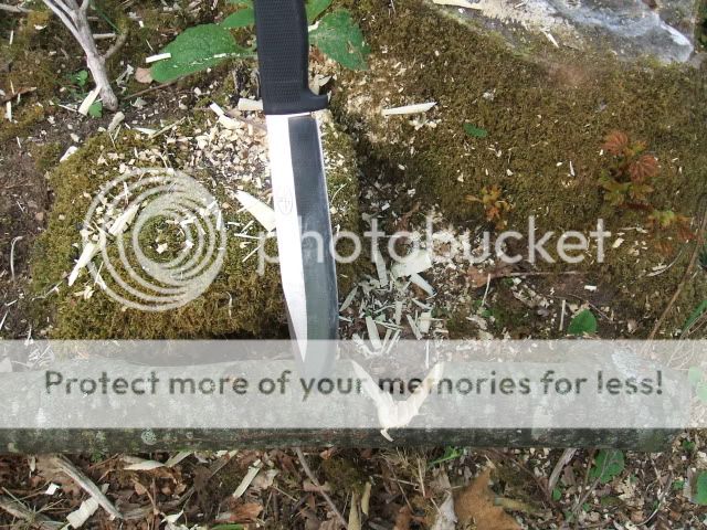 063.jpg