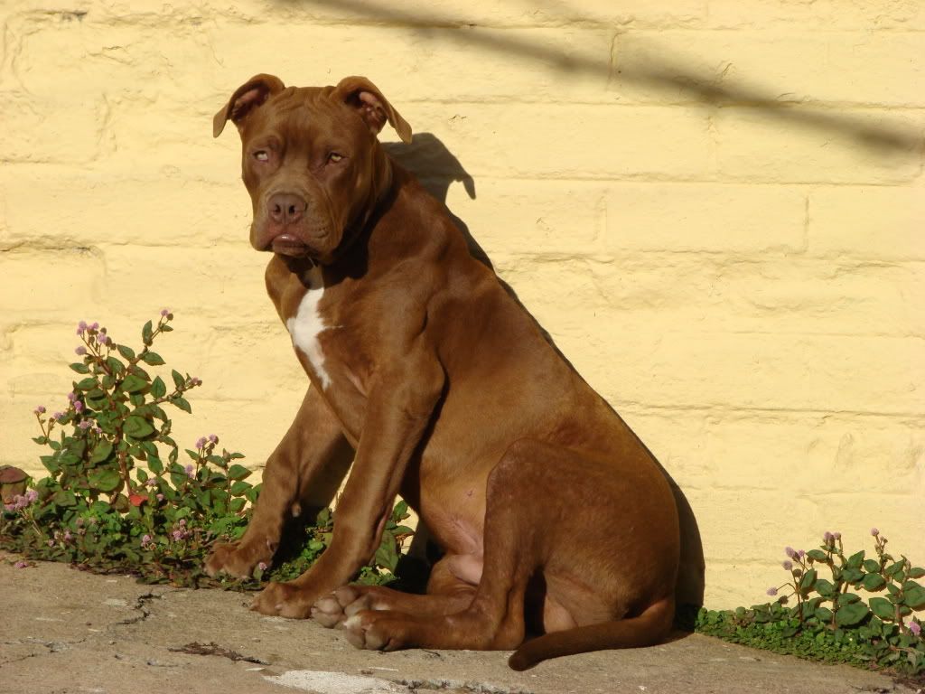 DSC07911.jpg