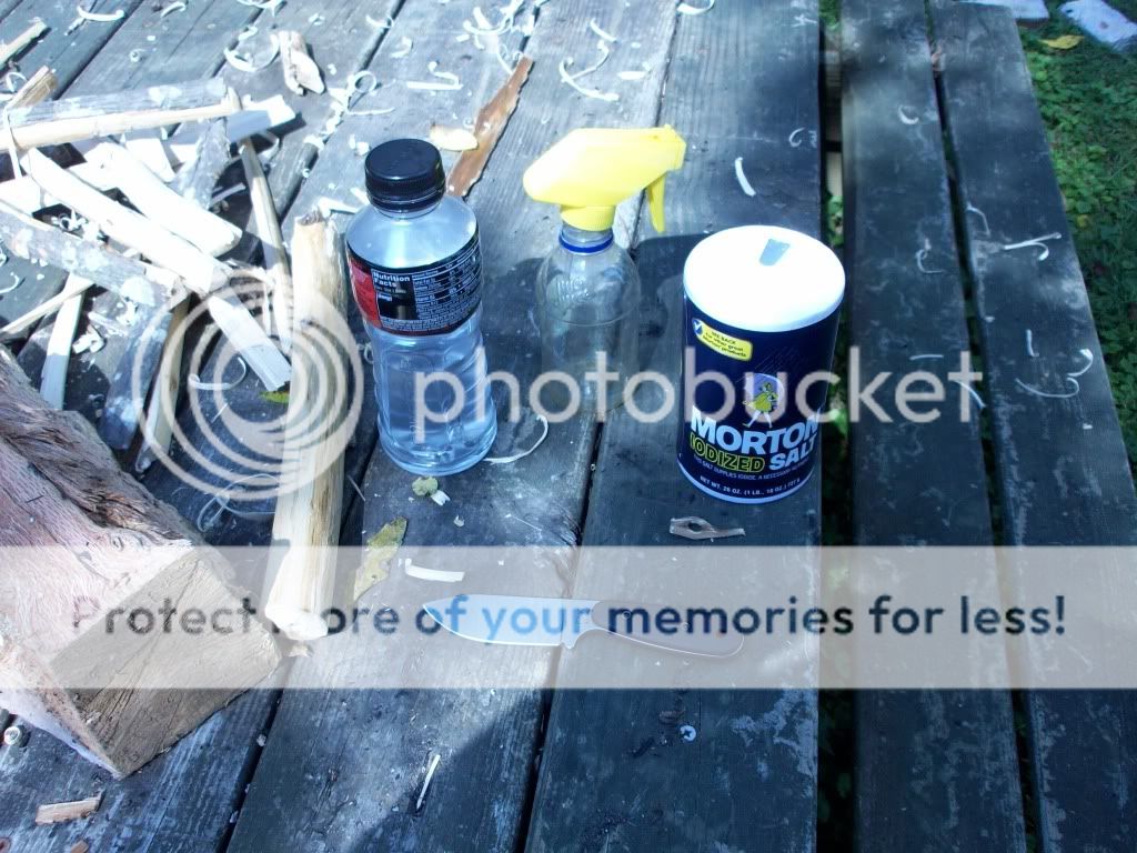 100_3241.jpg