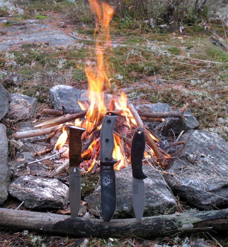 firetest2.jpg