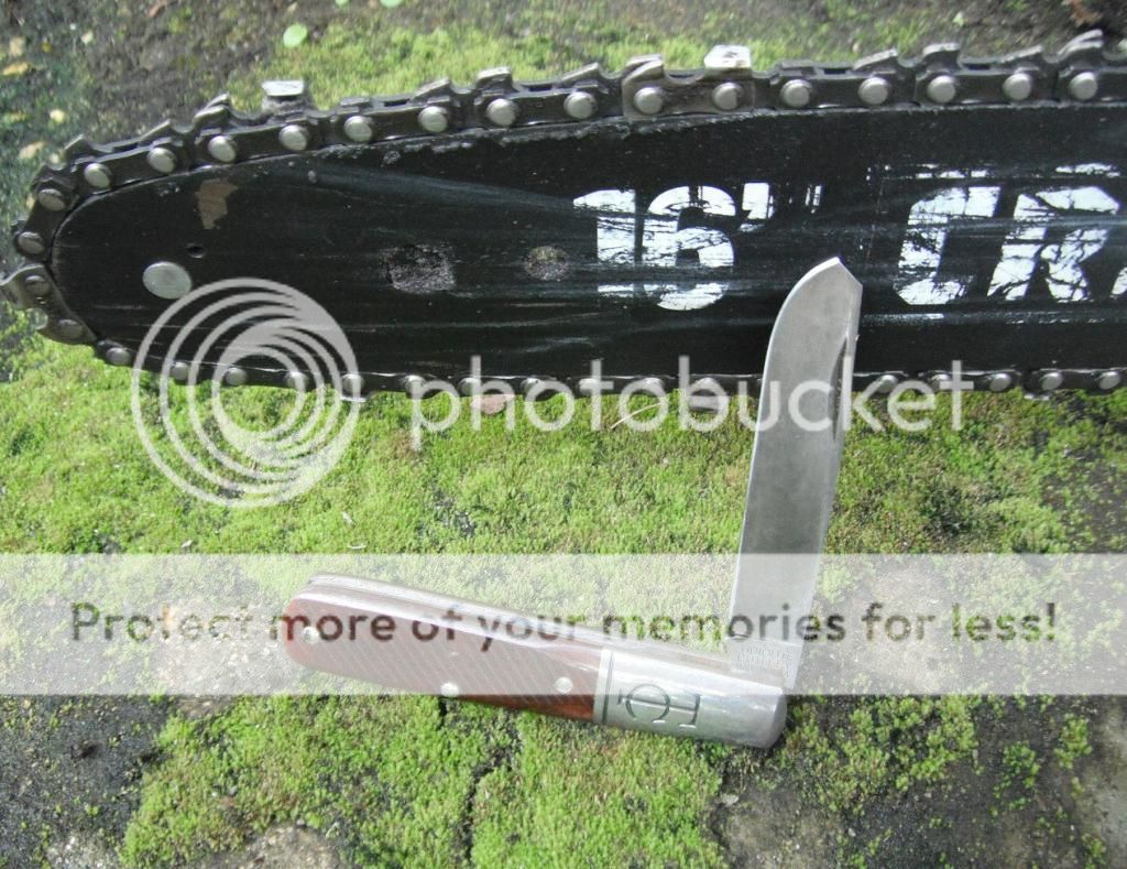 DSCF8185_zps629a6c4c.jpg~original