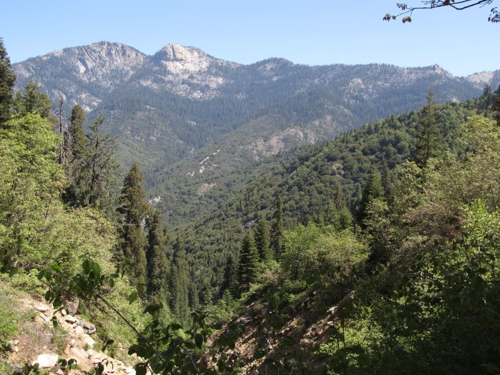 IMG_1300.jpg