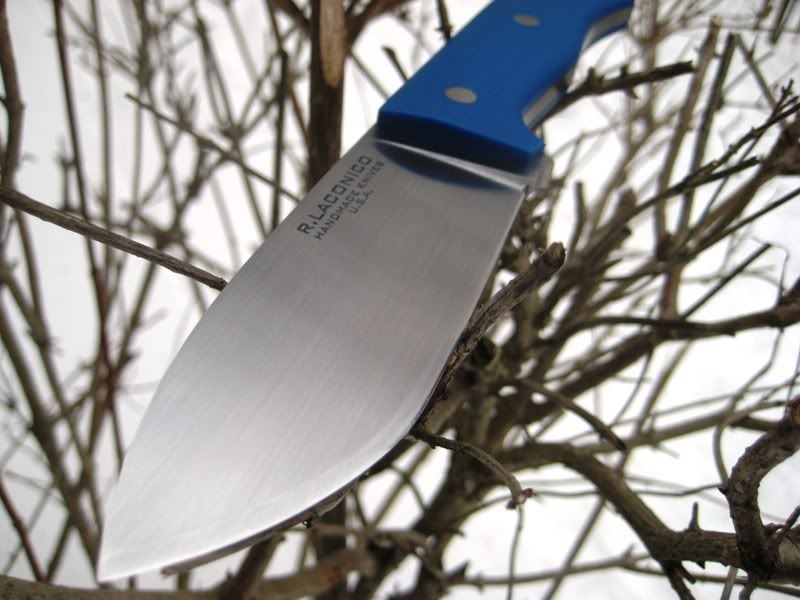 Laconico002.jpg