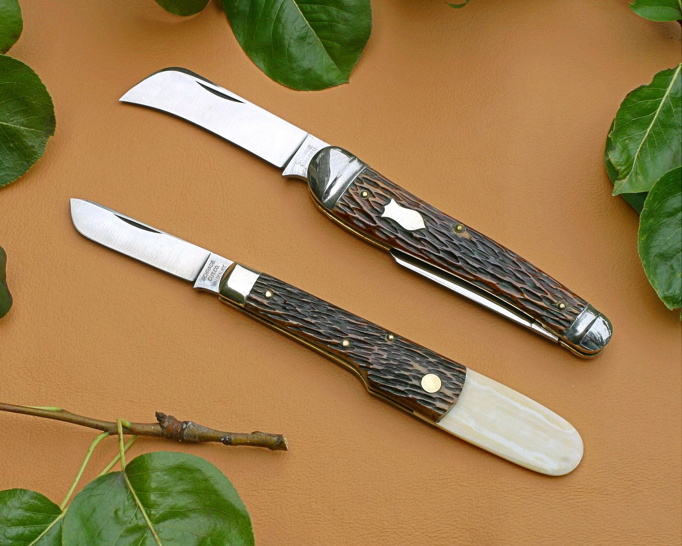 BuddingKnives2.jpg