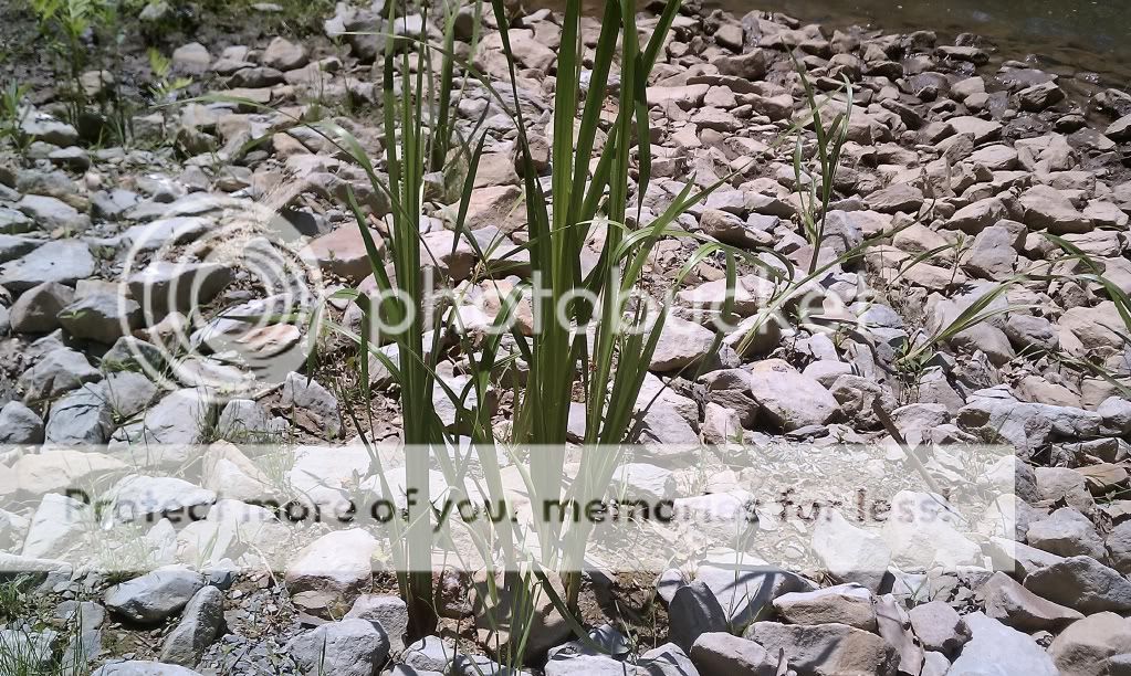 IMAG0026.jpg
