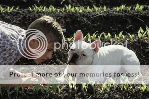 Secondhand_lions_006.jpg