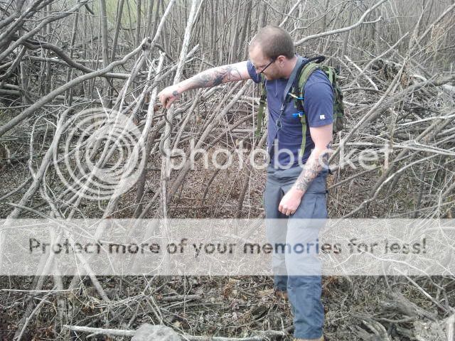 2012-03-25150136.jpg