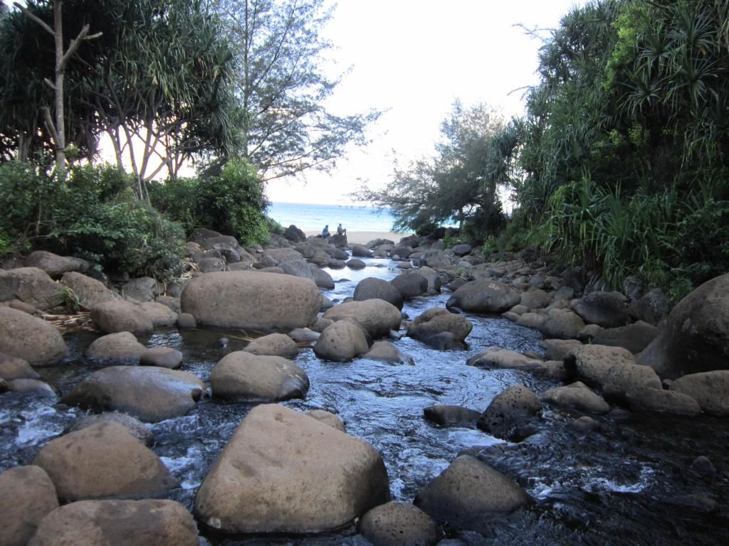 Kauai13034_zpse3b23bf0.jpg