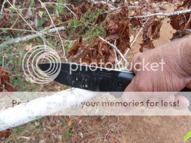 SDC10798.jpg