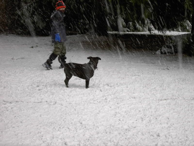 SnowDay003.jpg