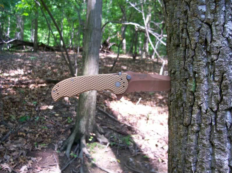 LibertyDam033-1.jpg