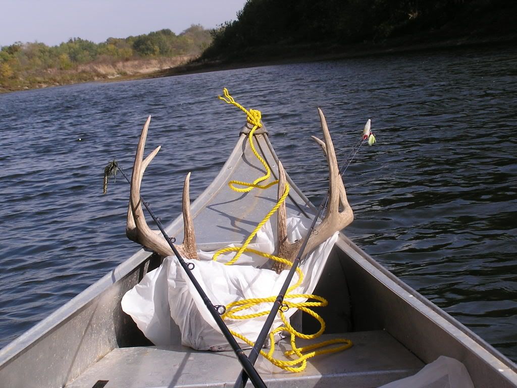 10-24-05037.jpg