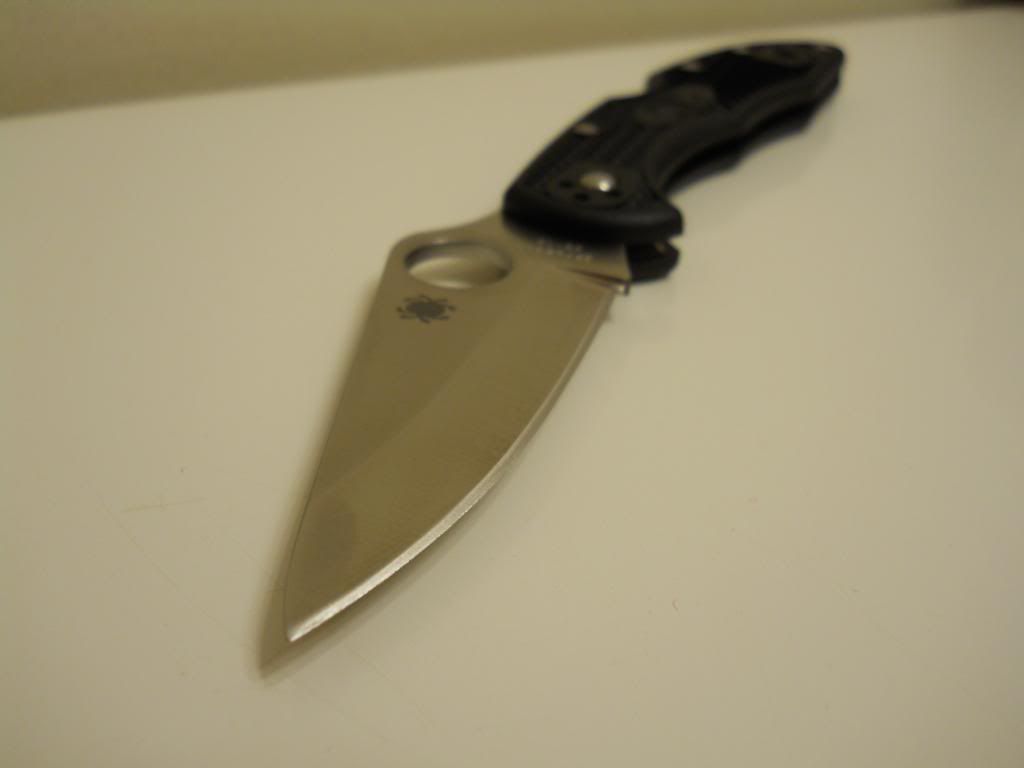 shiny001_zpsa3cffbcb.jpg