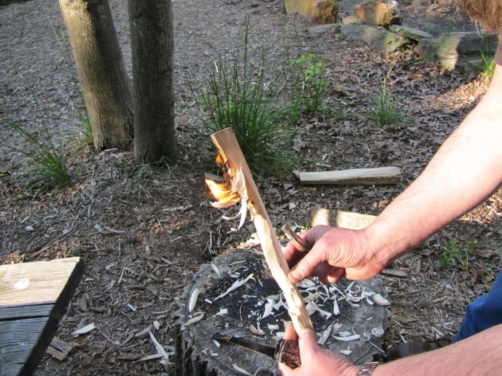 pic24.jpg