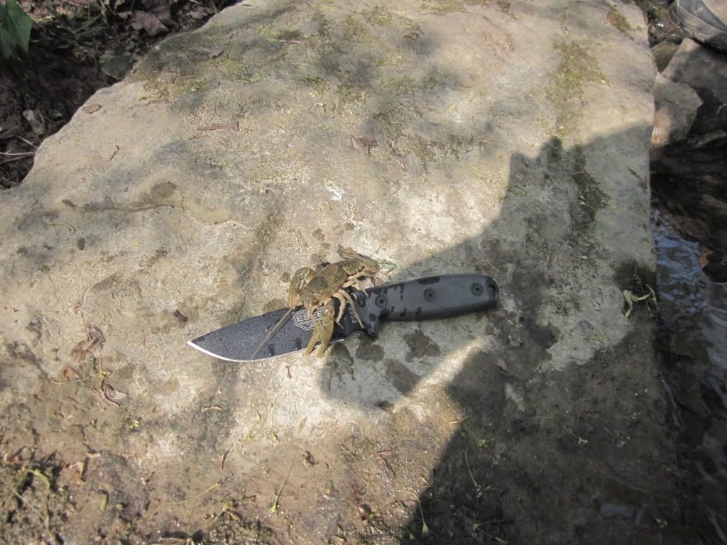 tradebladesandcreekshots025.jpg