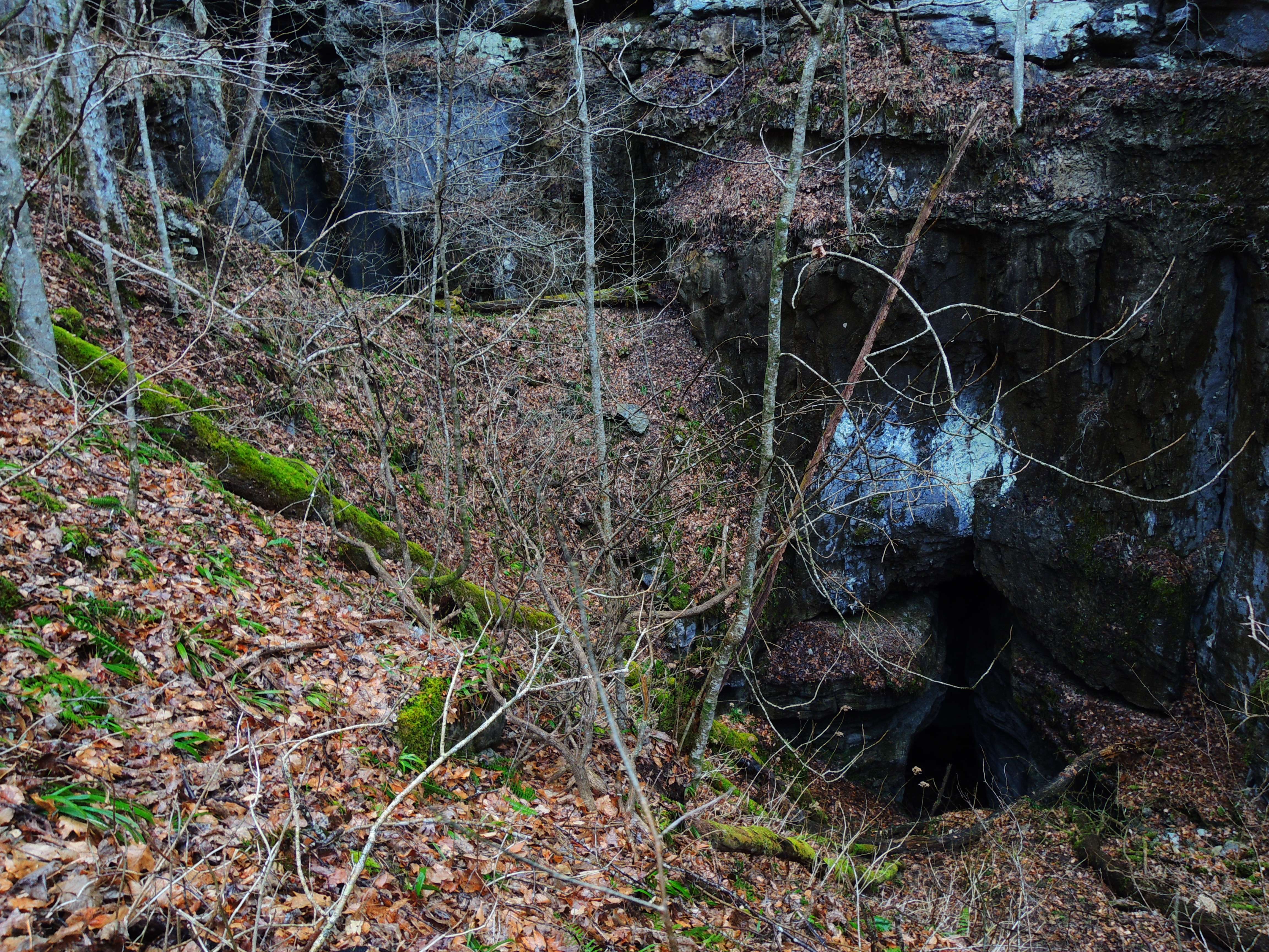 dscn7912n.jpg