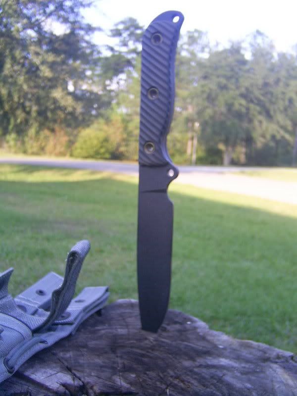 ebaypics339.jpg