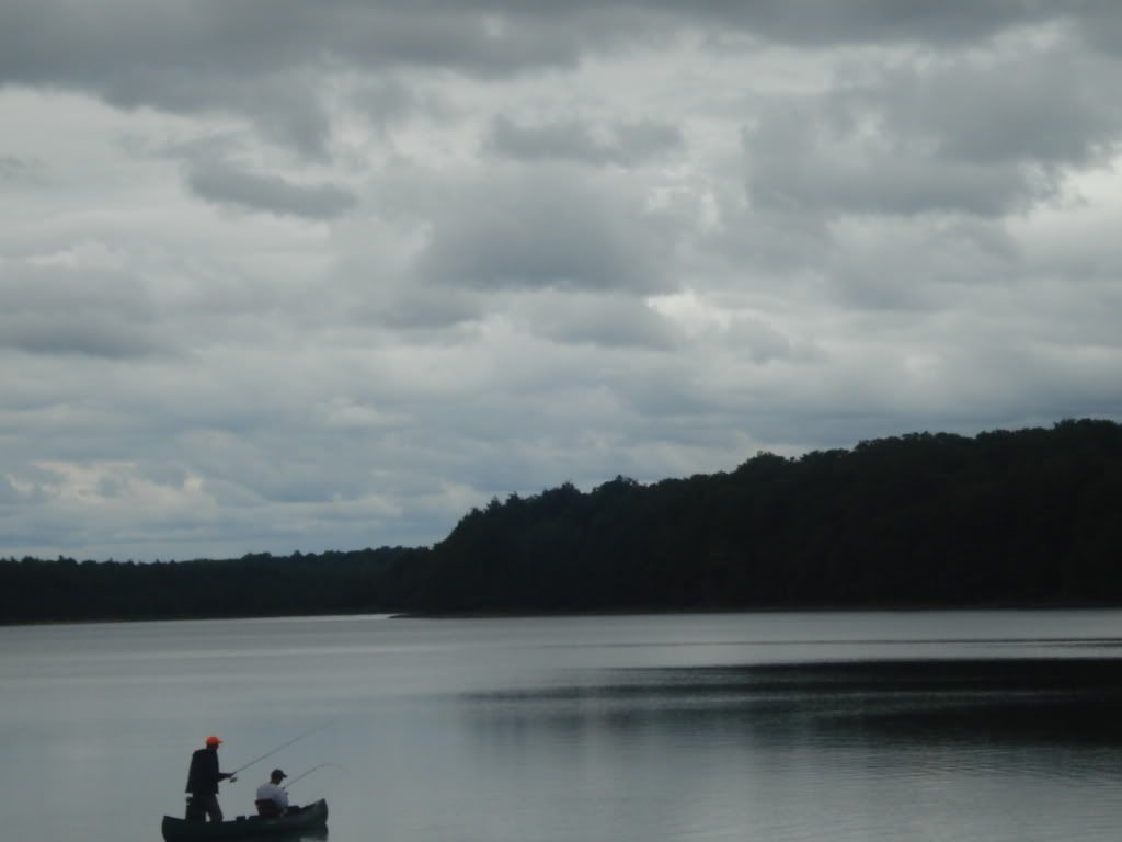 DSC03474.jpg