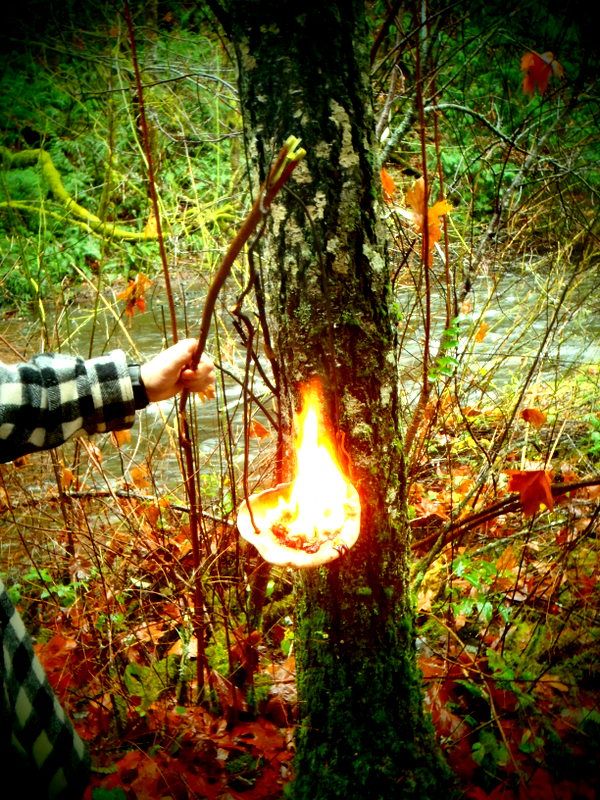 TodInletFall2012008.jpg