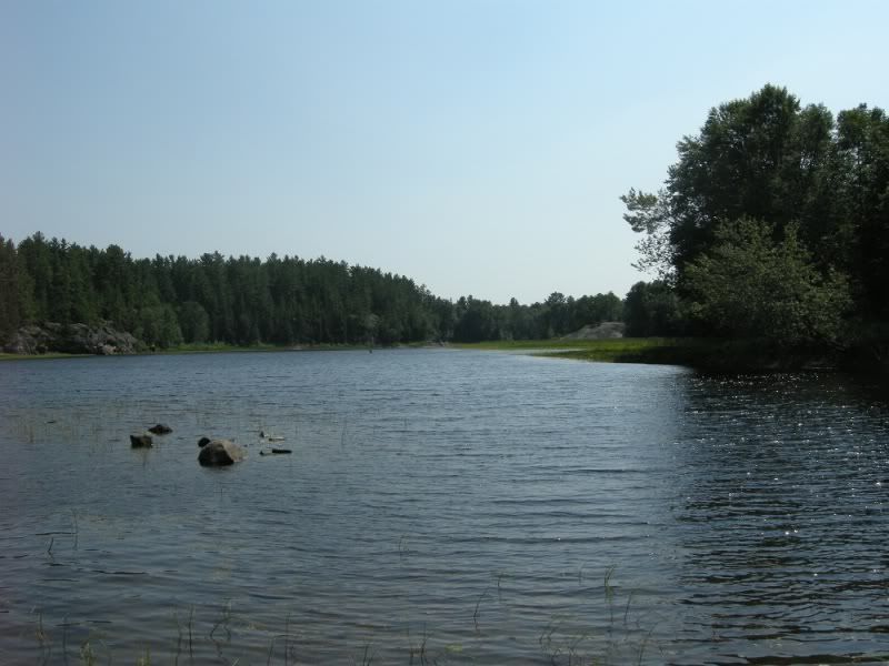 DSCN2503.jpg