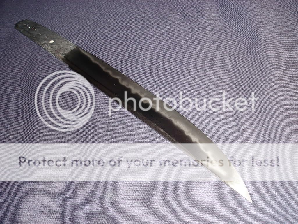 DSC03294.jpg