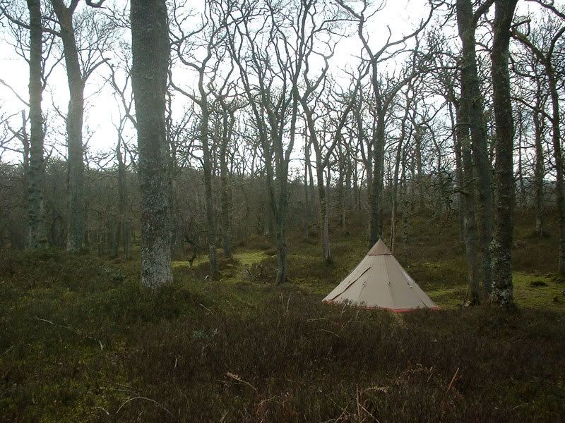 DSCF0004.jpg