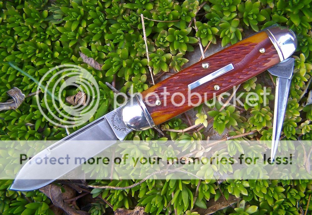 GEC35_BF_01.jpg
