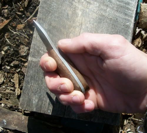 100_0710.jpg