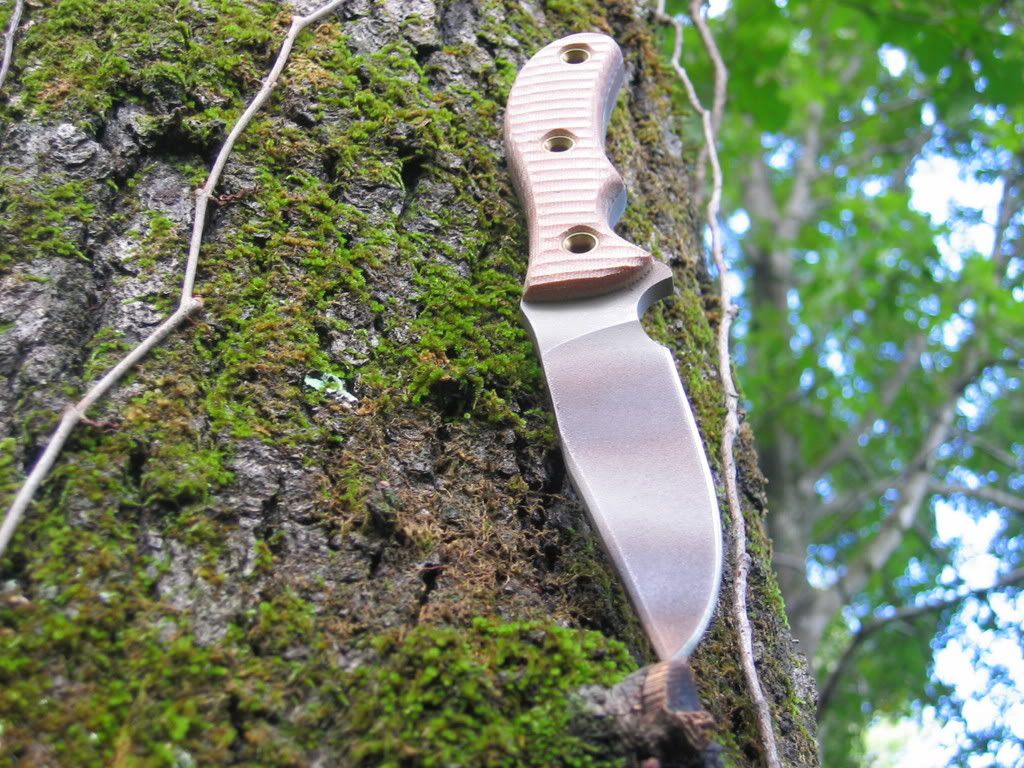 SAR8.jpg