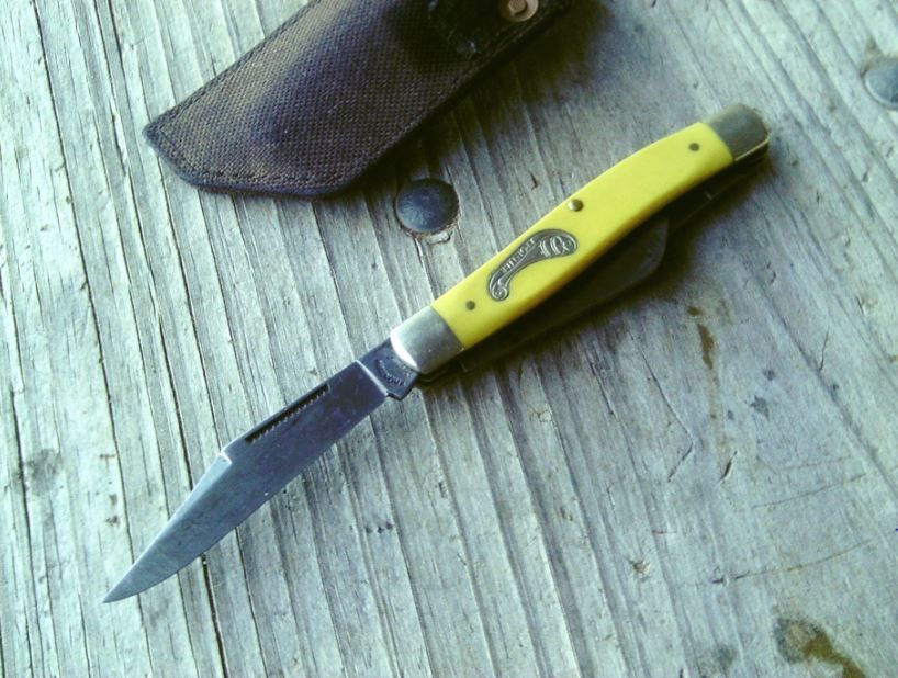 Yellow%20Imperial%20stockman_zpsknizelir.jpg
