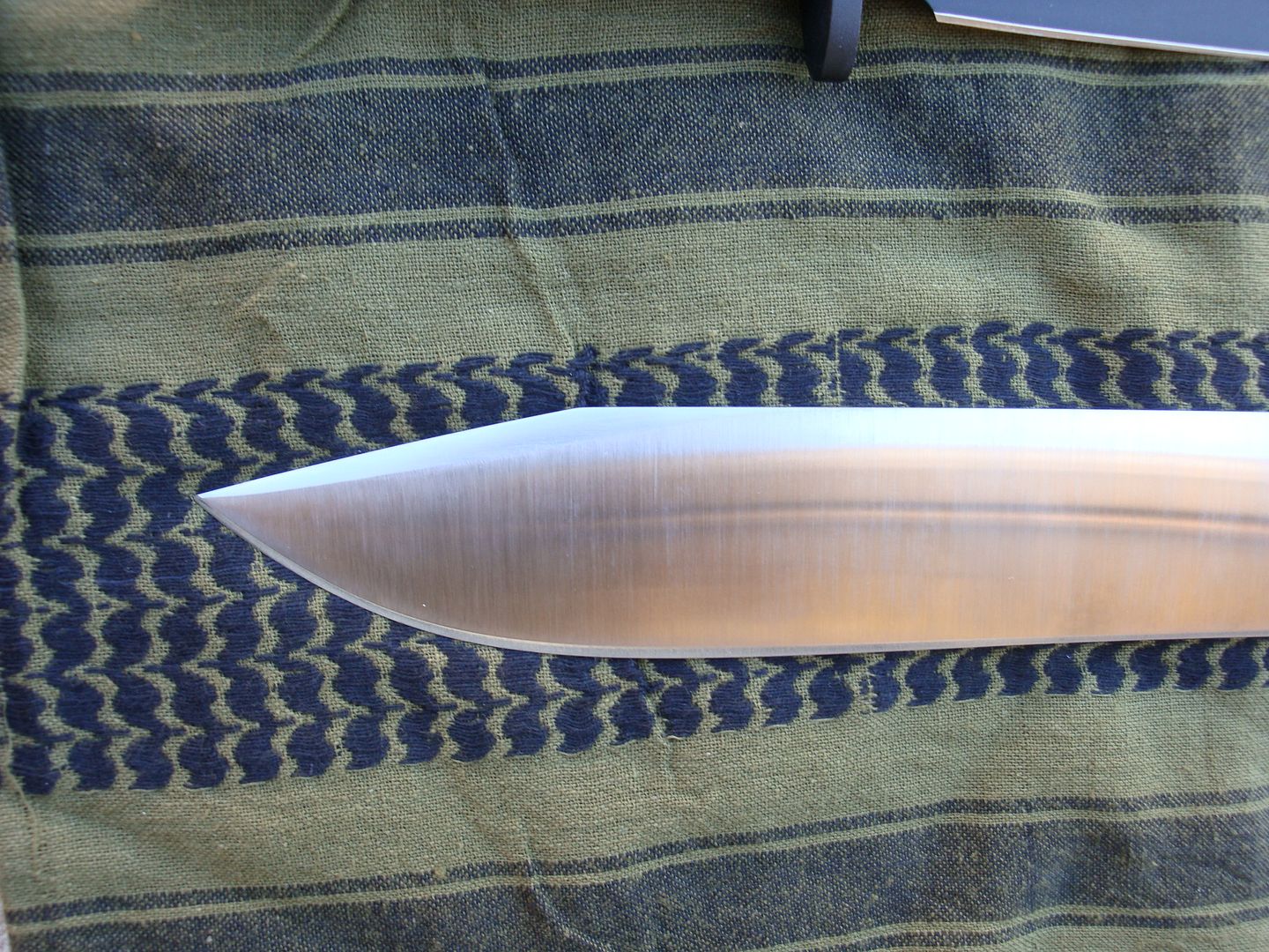 DSC00838.jpg