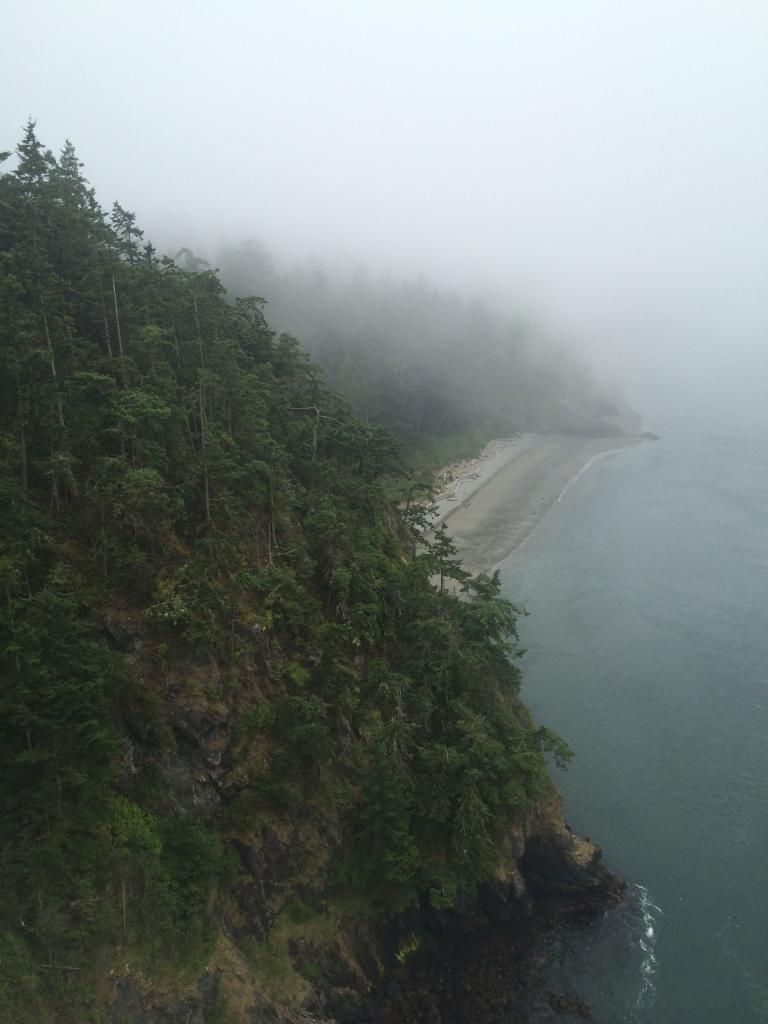 IMG_0905_zps3bc293e0.jpg