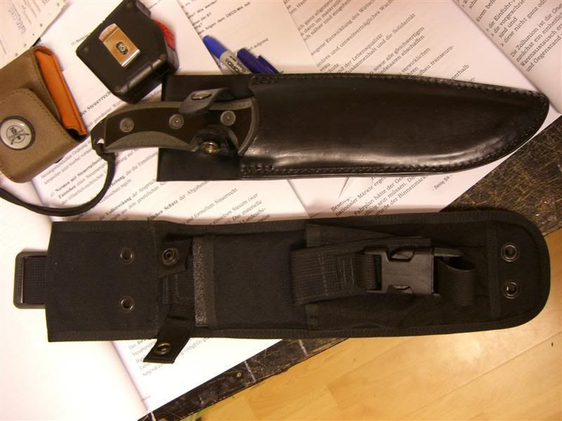 CIMG2636Medium.jpg