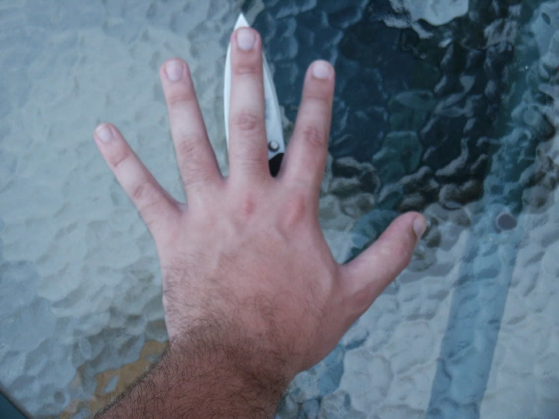 PICT0330.jpg