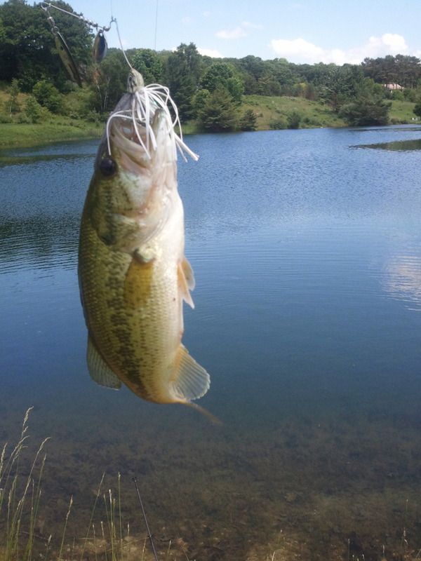 2012-06-20150442.jpg