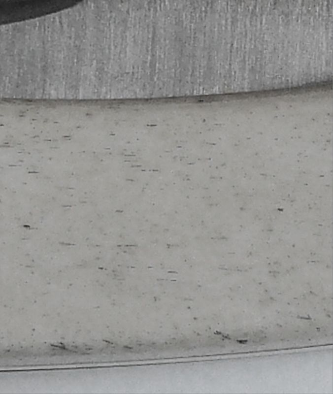 bone110002.jpg