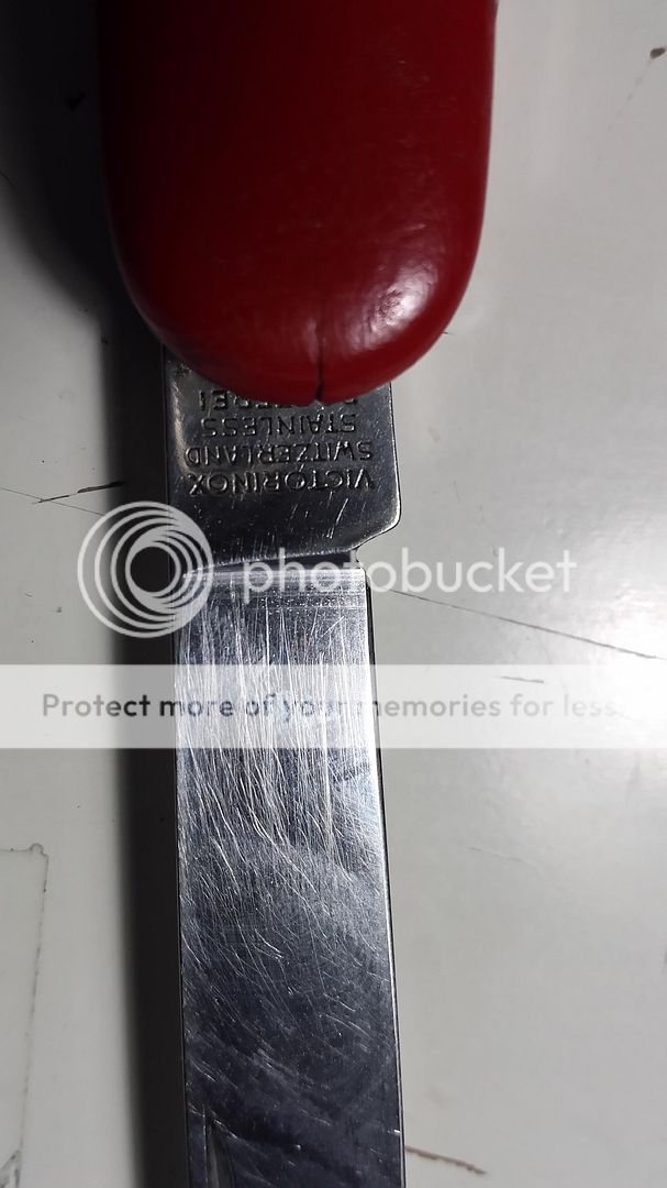 20140419_004125_LLS_zps06dfd384.jpg
