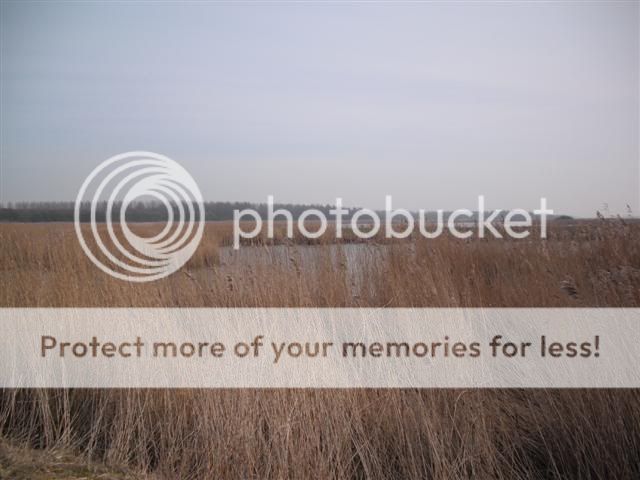 Lauwersmeer2.jpg