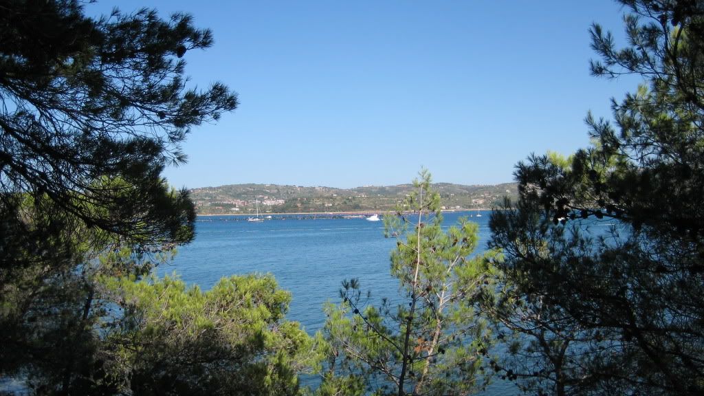 IMG_1967.jpg