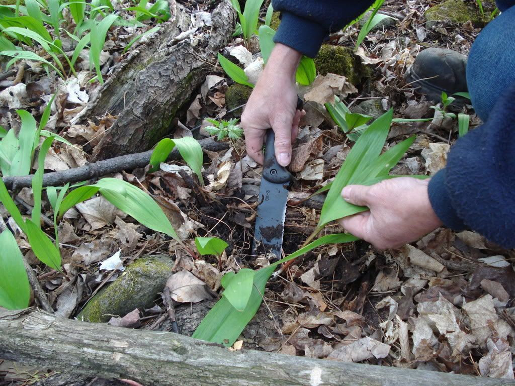 DSC01039.jpg