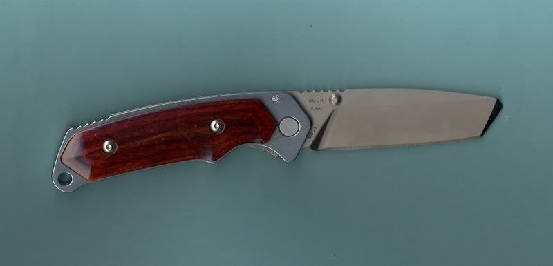 BuckWH4FCustom3.jpg